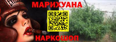крисы Лесосибирск