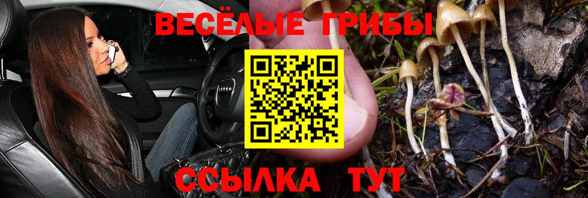 Галлюциногенные грибы GOLDEN TEACHER  дарнет шоп  Калининград  Вход с VPN 