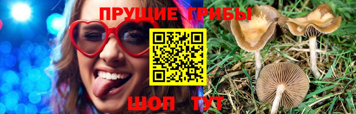 Псилоцибиновые грибы ЛСД Калининград